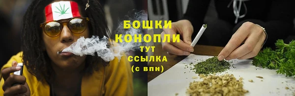 шишки Волосово