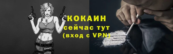 крисы Вяземский