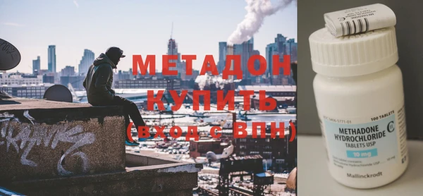 прущие грибы Вязьма