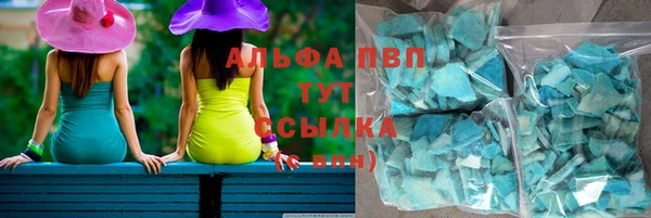 прущие грибы Вязьма