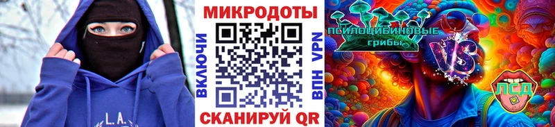 Купить  Краснокаменск  Псилоцибиновые грибы Psilocybine cubensis 